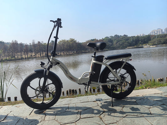 Top 5 Reasons Why Electric Bikes Are the Future of Urban Transportation