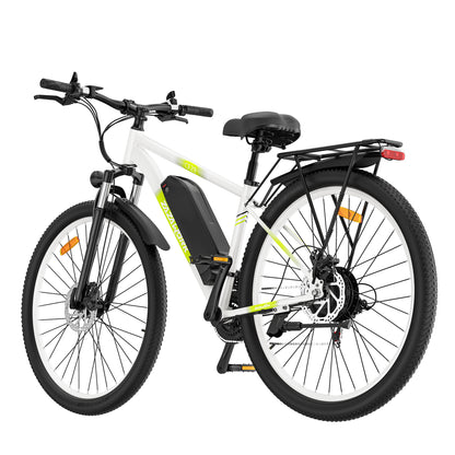 ZAZAWORK CF29 Electric Bike