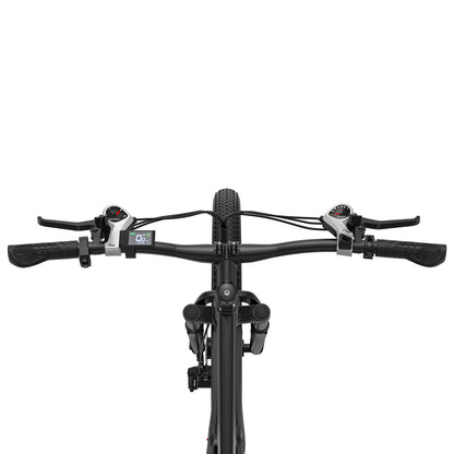 ZAZAWORK CF29 Electric Bike