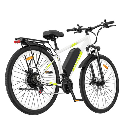 ZAZAWORK CF29 Electric Bike